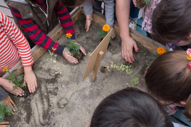 Çocuklarla Tohum Attık