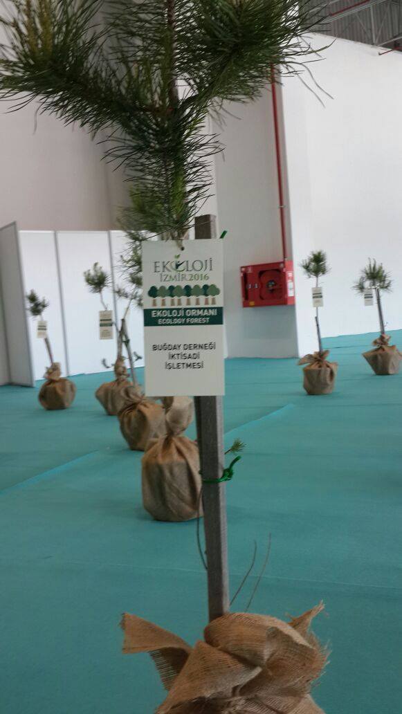 Ekoloji İzmir’deydik