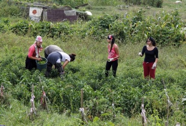 Bambaşka bir tatil; TaTuTa