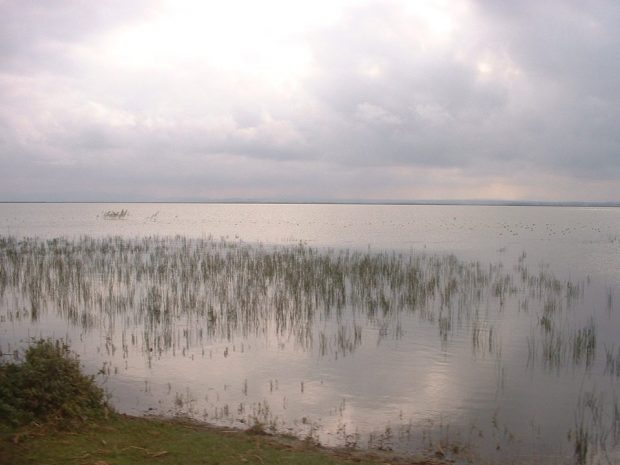 Ekolojik Tarım Sulak Alanları da Koruyor