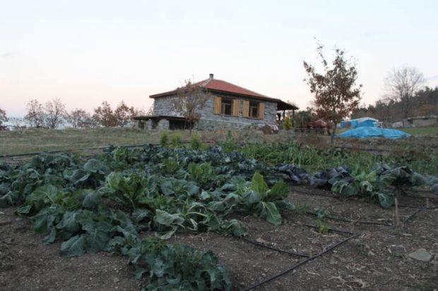 Doğanın Enerjisine Ayak Uyduruyoruz