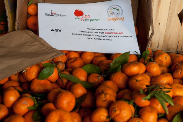 Organik Ürünler Neden Daha Pahalı?