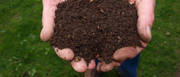Buğday’ın hazırladığı Kompost Rehberi’ni artık online olarak okuyabilirsiniz