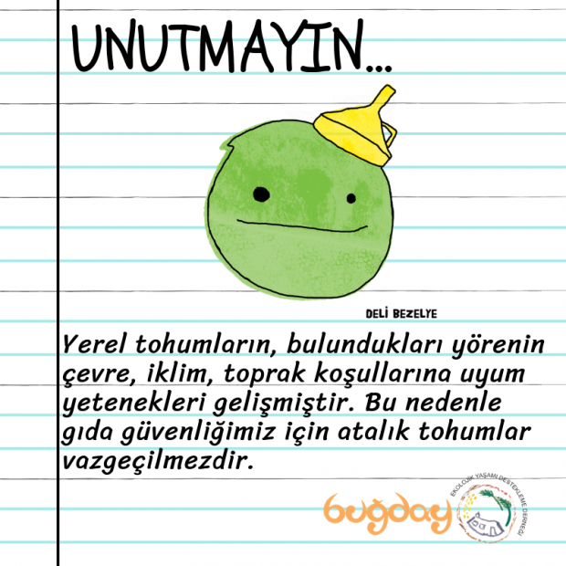 Deli Bezelye seni çağırıyor!