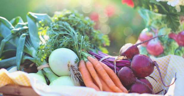 Mevsimsel Beslen – Kasım ayında hangi meyve ve sebzeler yetişir?