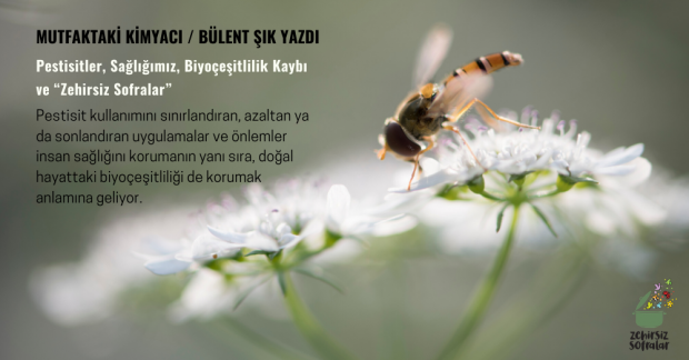 Pestisitler, Sağlığımız, Biyoçeşitlilik Kaybı ve “Zehirsiz Sofralar”