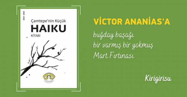 Çamtepe’nin Küçük Haiku Kitabı ve Geçen Zaman