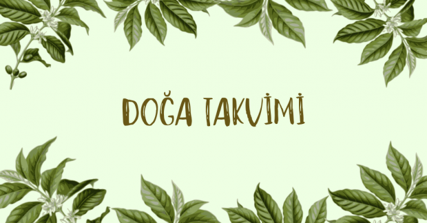 Doğa takvimi | Nisan & Mayıs