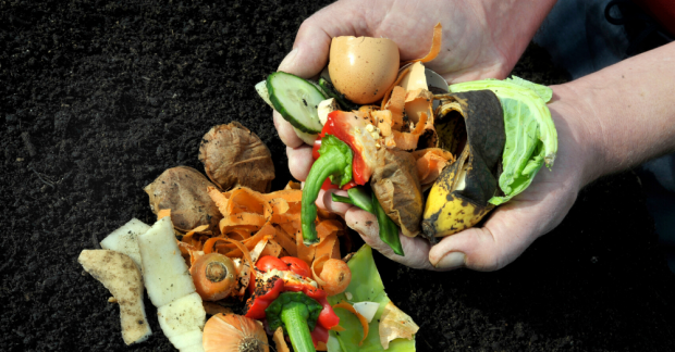 Sağlıklı toprak ve bitkiler için bokaşi kompostu