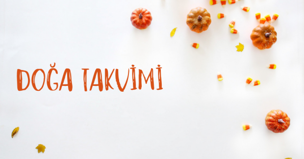 Doğa Takvimi | Ekim & Kasım