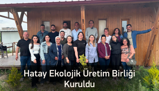Tarımsal Üretimde Onarıcı Dönüşüm