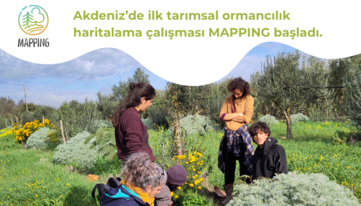 MAPPING: Akdeniz’de Tarımsal Ormancılık