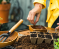 Etkinlik: “Bahçeciliğe Giriş ve Ekolojik Yaşamın Temelleri” – 7 ve 9 Şubat 2023