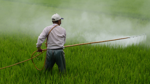 Pestisitler çiftçileri zehirliyor