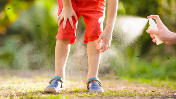 Sineklerle zehirsiz mücadele