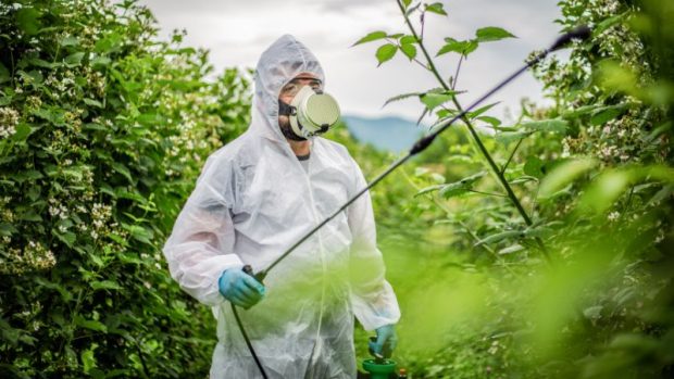 Tarım zehirlerinde alarm: Yasaklı maddelerin kullanımı devam ediyor
