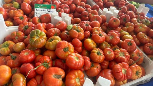 Türkiye’nin tarım sistemi ve agroekoloji