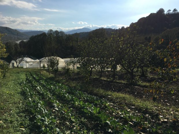 %100 Ekolojik Pazarlar üretici ziyaretleri