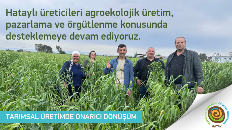 Hatay için Birlikte
