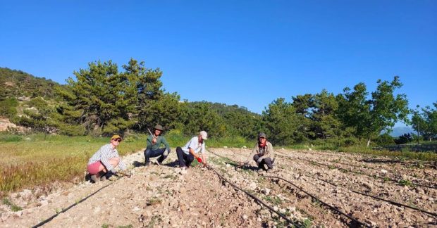 Güneşin üzerine doğduğu yamaç