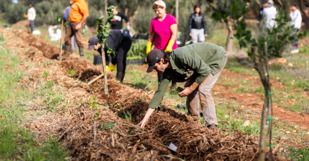 Akdeniz’de ilk tarımsal ormancılık haritalama çalışması MAPPING başladı.
